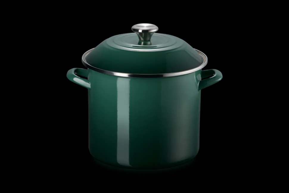 10 qt.Stockpot in Artichaut