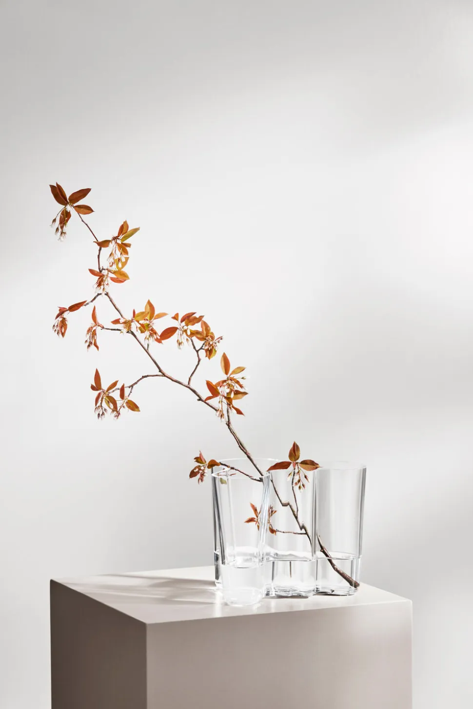 Aalto Vase in Clear