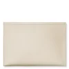 AERIN Pouch