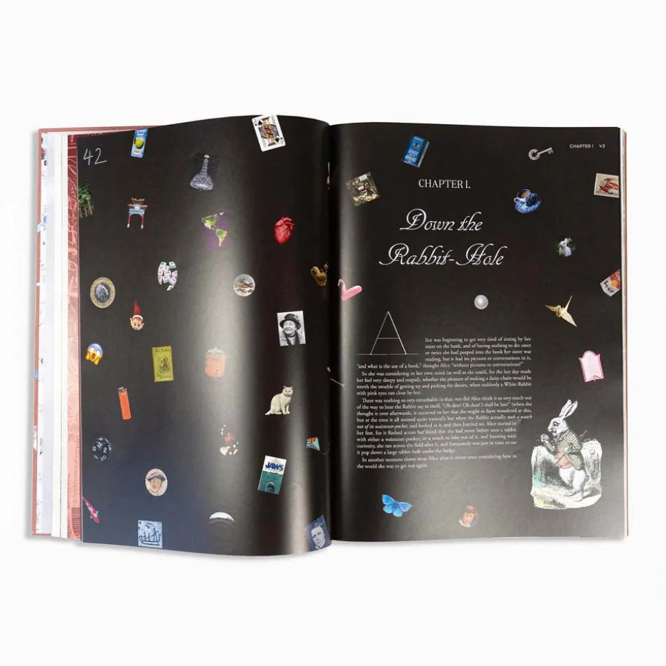Alice in Wonderland Art Novel