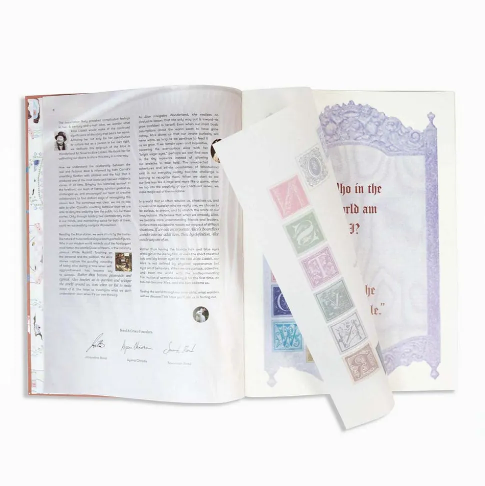 Alice in Wonderland Art Novel