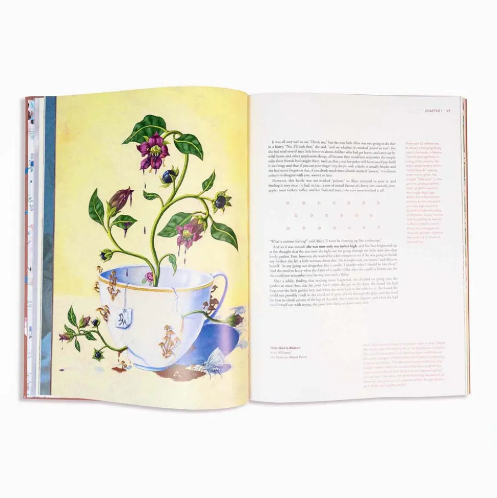 Alice in Wonderland Art Novel