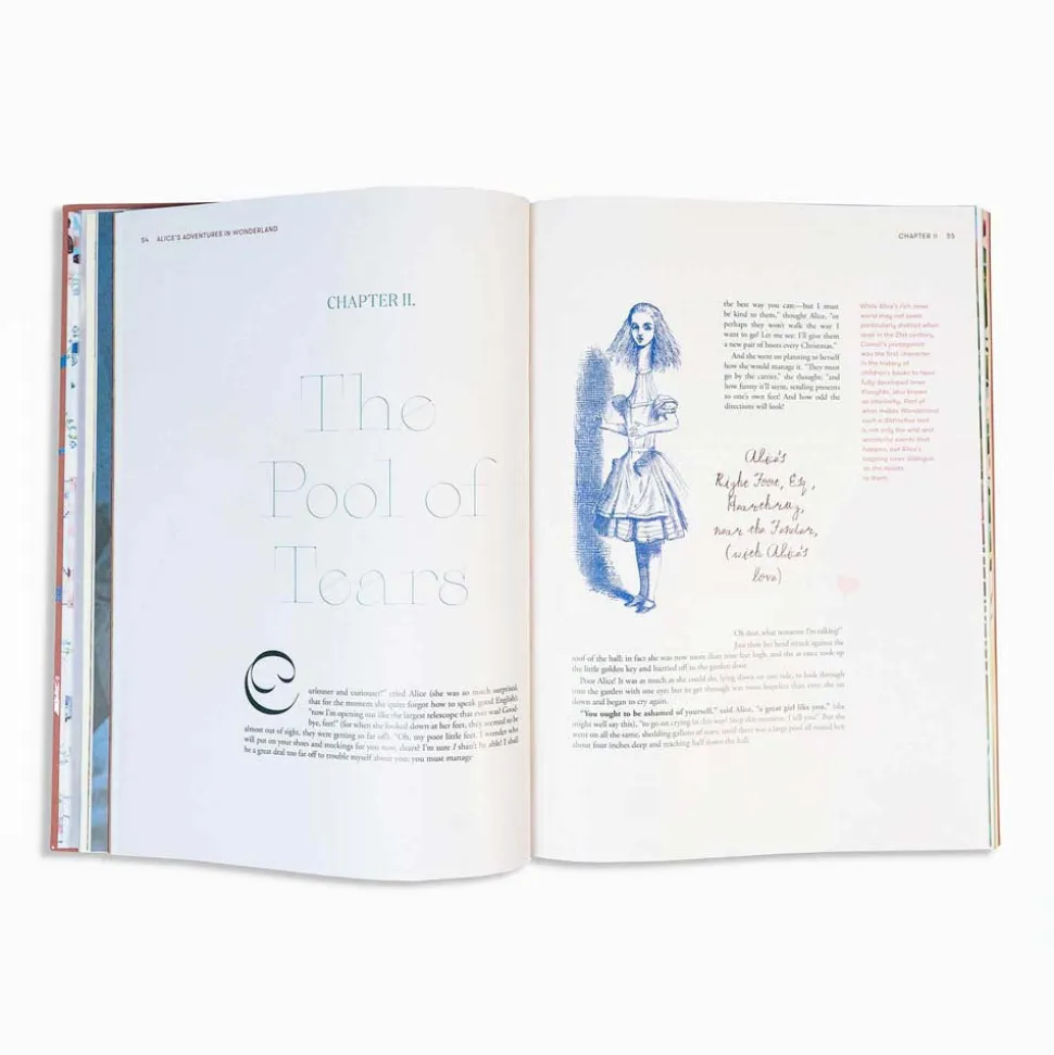 Alice in Wonderland Art Novel