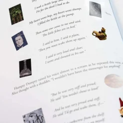 Alice in Wonderland Art Novel
