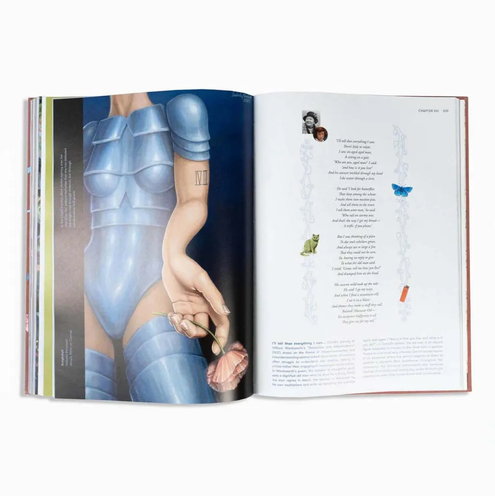 Alice in Wonderland Art Novel