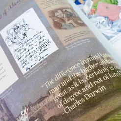 Alice in Wonderland Art Novel Collector’s Edition