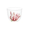 Alpha Tulipmania Water Tumbler with Tulips