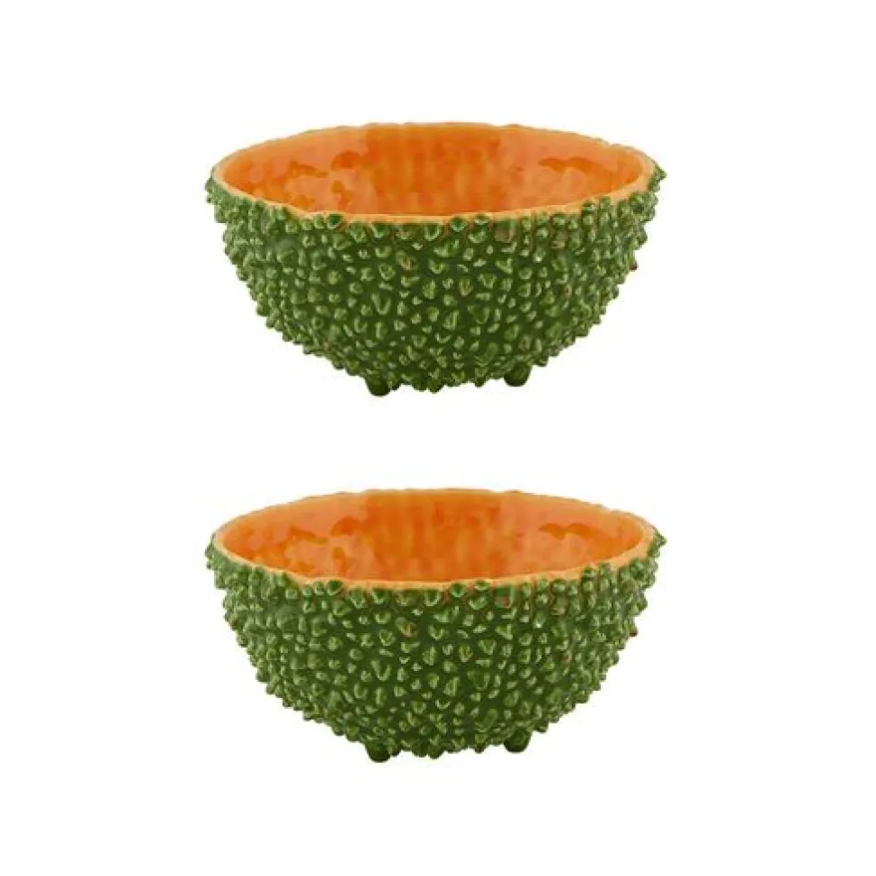 Amazonia Bowl 6", Set of 2