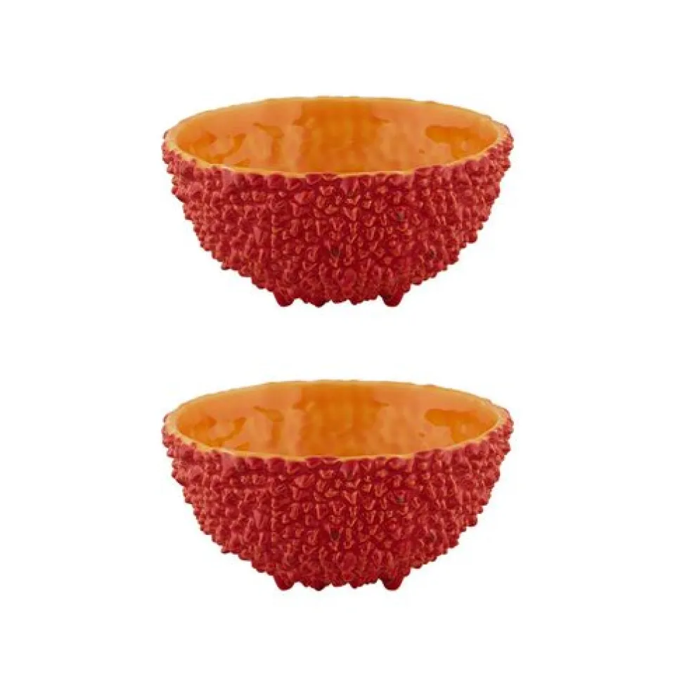 Amazonia Bowl 6", Set of 2