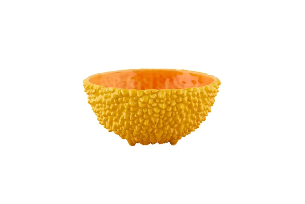 Amazonia Bowl 6", Set of 2