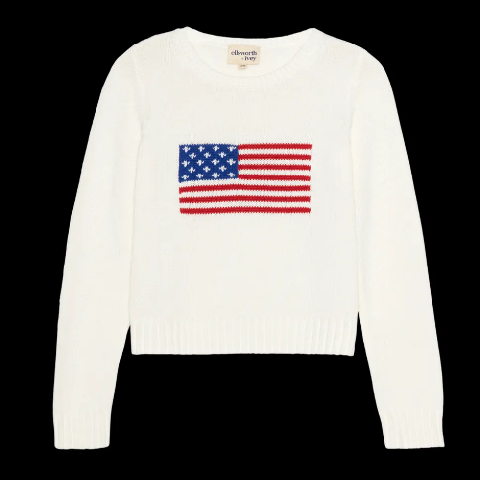 American Flag Fashion Crewneck Sweater in Ivory