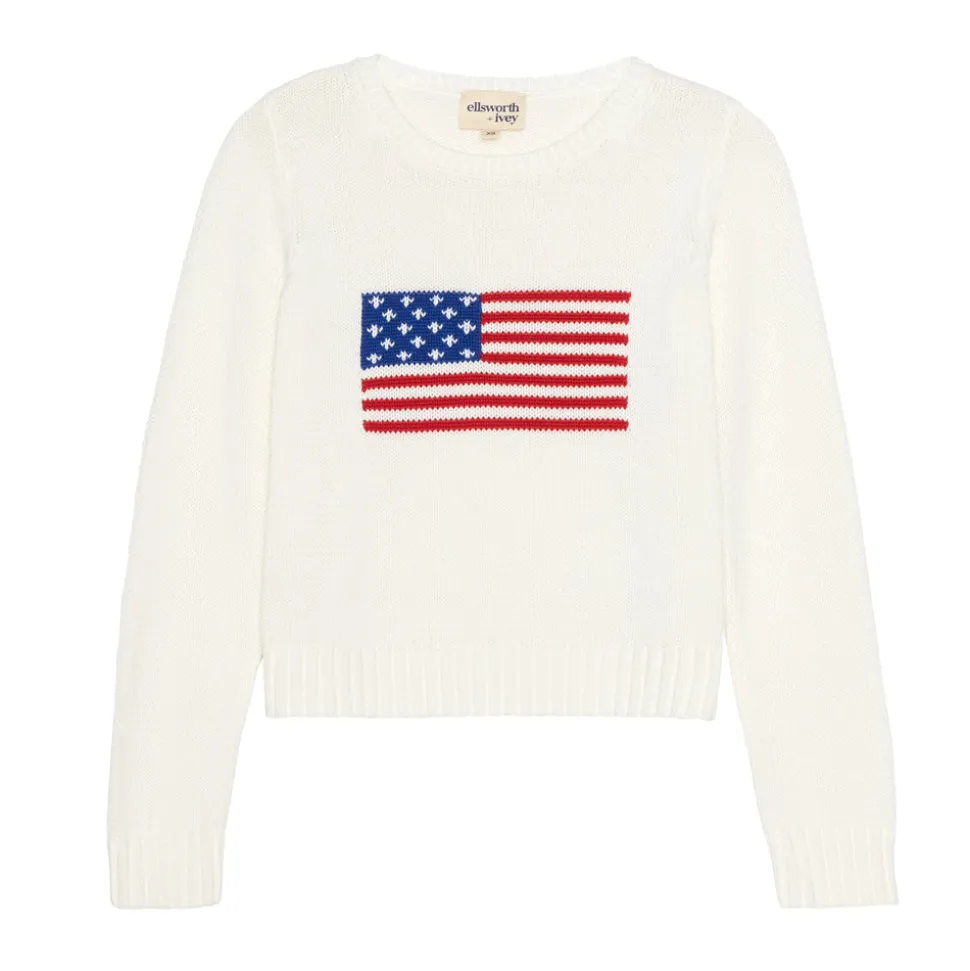 American Flag Fashion Crewneck Sweater in Ivory