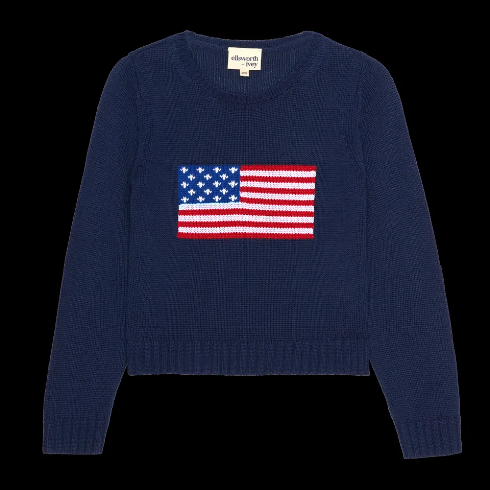 American Flag Fashion Crewneck Sweater in Navy