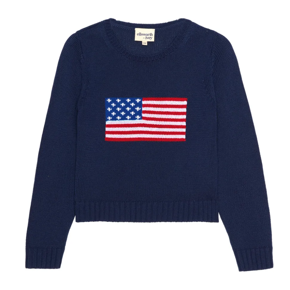 American Flag Fashion Crewneck Sweater in Navy