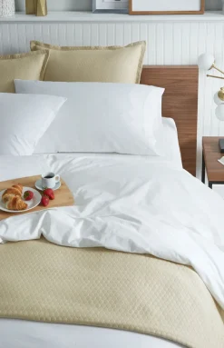 Analisa Flat Sheet