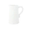 Aria White Pitcher
