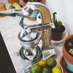 Artisan Citrus Juicer, Large
