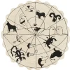 Astrologia Rug in Black & Natural