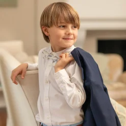 Baker Bow Tie in Heirloom Delft