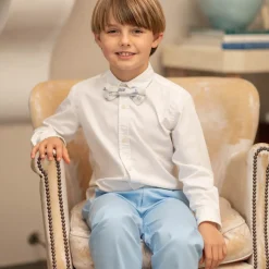 Baker Bow Tie in Heirloom Delft