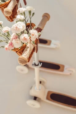 Banwood Scooter