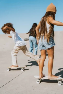 Banwood Skateboard
