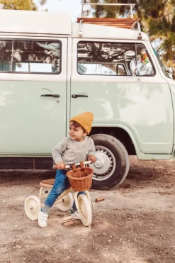 Banwood Trike
