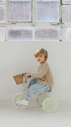 Banwood Trike