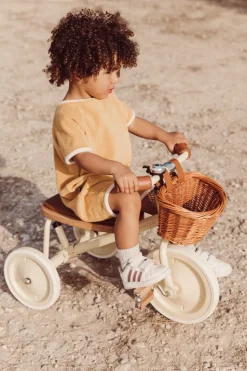 Banwood Trike