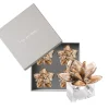 Beachcomber Napkin Ring in Natural, Set of 4 in a Gift Box
