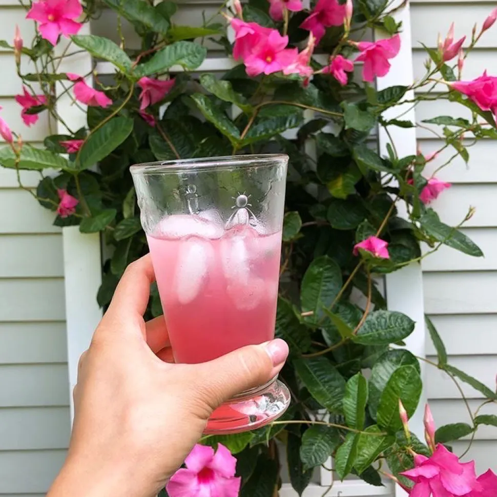 Bee Ice tea Glass, Set of 6