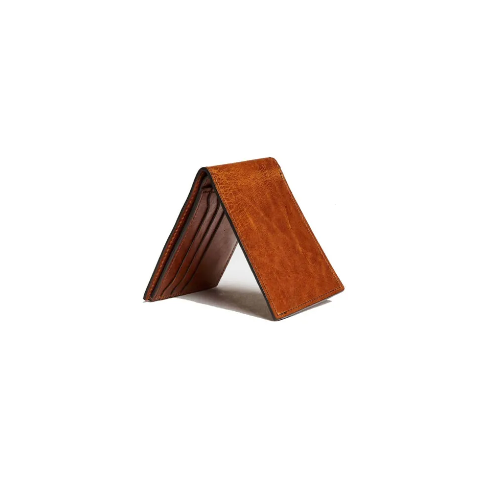 Bifold Wallet