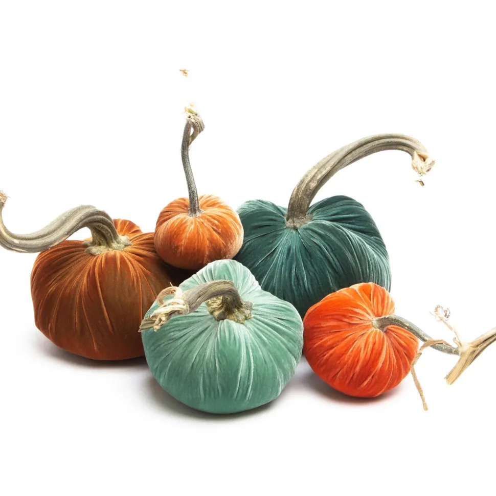 Big Sur, Set of 5 006