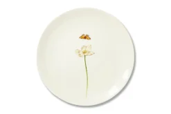 Bloom Anemone Hupehensis Plate