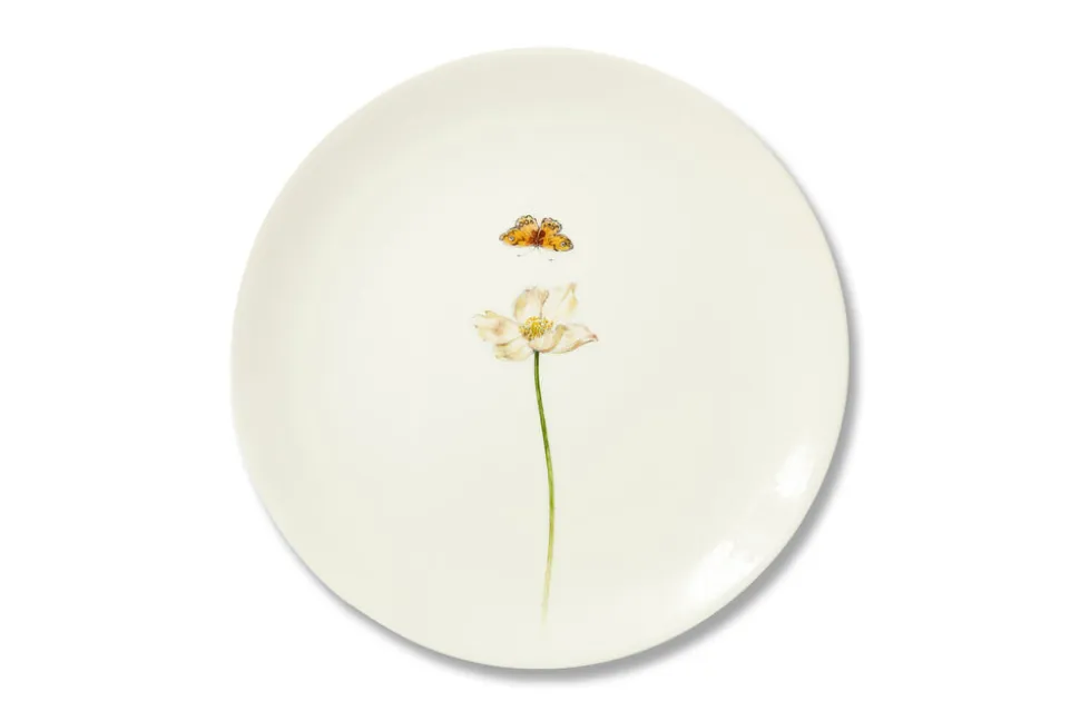 Bloom Anemone Hupehensis Plate