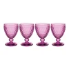 Boston Berry Water Goblet in Berry, Set of 4