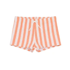 Boys Swizzle Stripe Brief