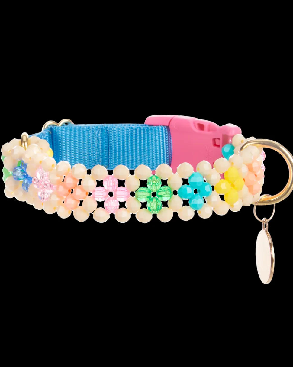 Broadway Dog Collar