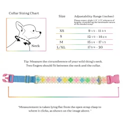 Broadway Dog Collar