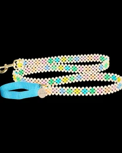 Broadway Dog Leash