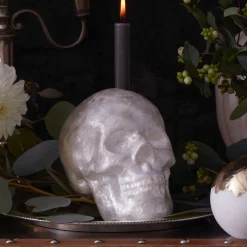 Capiz Skull in Pearl