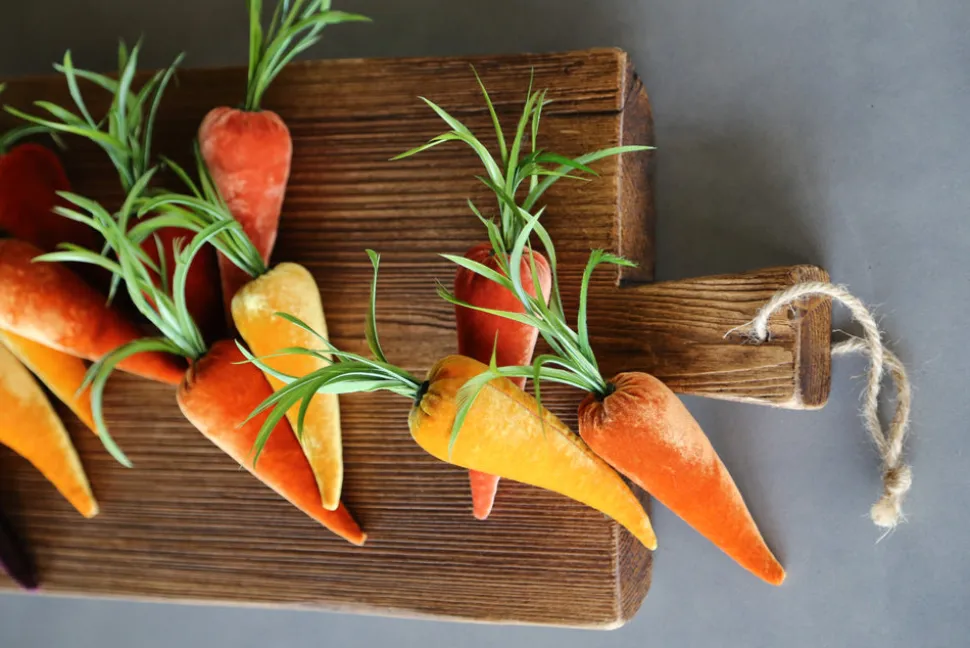 Carrot in Carrot