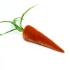 Carrot in Persimmon