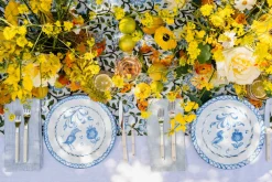 Casa Celeste Dinner Plate with Traditional Designs