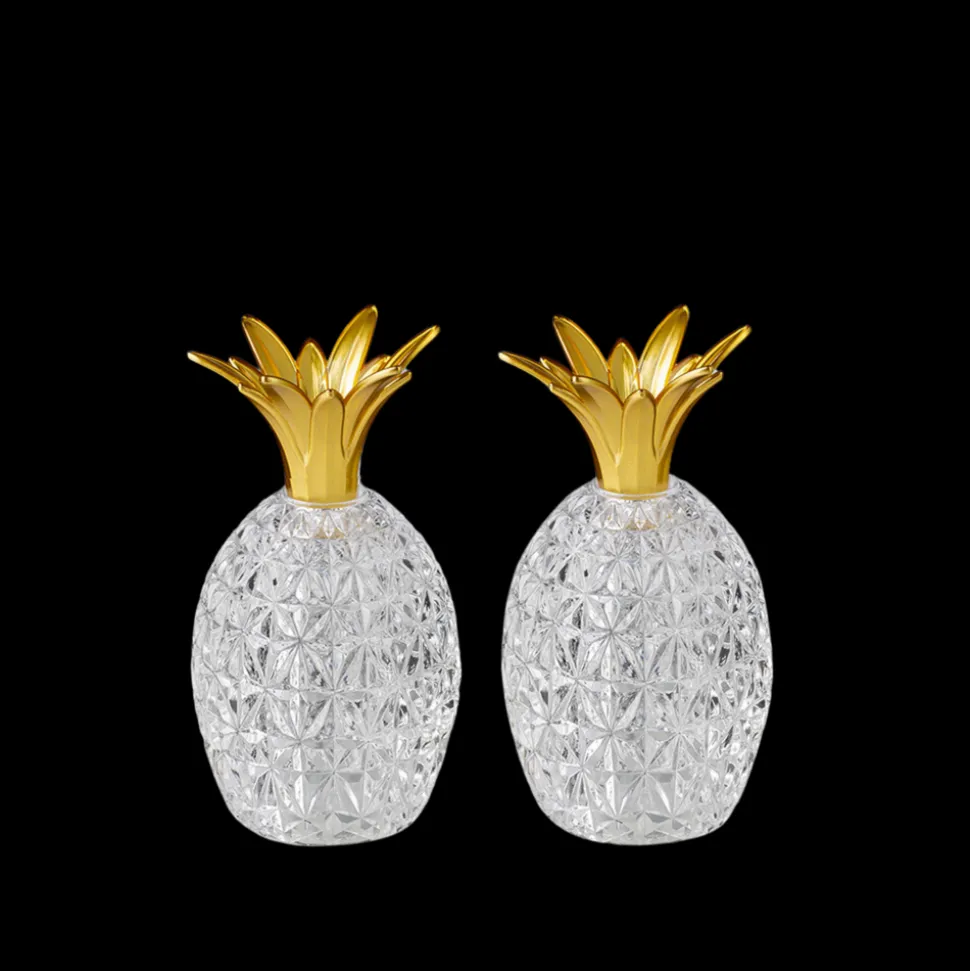 Caterina & Vittoria Acrylic Salt and Pepper