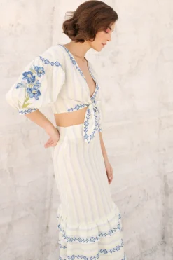 Chicory Set