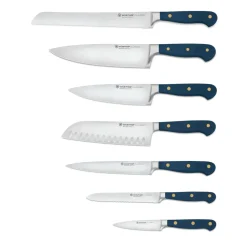 Classic Designer Knife Block Set in Wild Blueberry, Set of 8