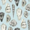 Coquina Wallpaper