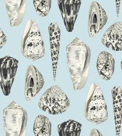 Coquina Wallpaper