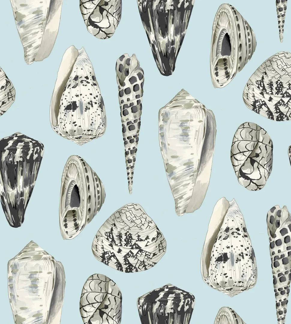 Coquina Wallpaper